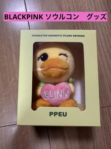 BLACKPINK PINK 2025 서울 콘서트 굿즈