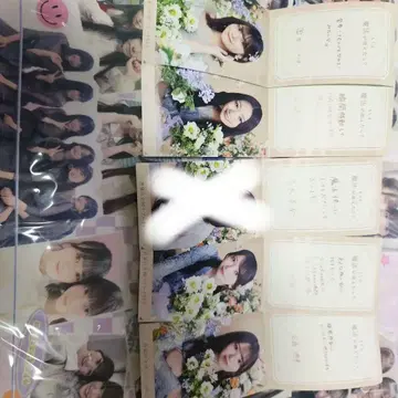 노기자카46 한여름의 전국 투어 2025 노기메쿠리