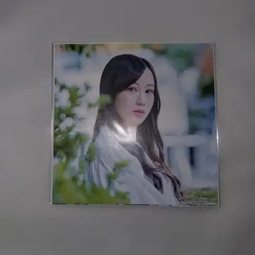 노기자카46 호시노 미나미 정전기 흡착 포스터 Time files