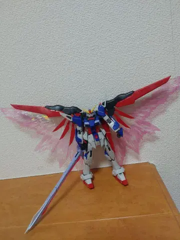 1/144RG 데스티니 건담 티타늄 피니쉬 상품 동시 300엔 할인