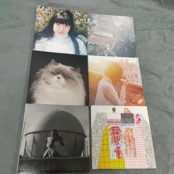 카네코 아야노 CD 6종 세트
