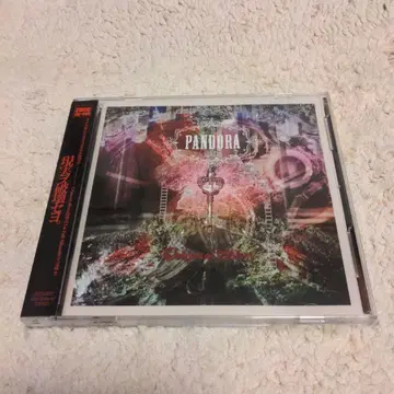 Crimson Shiva PANDRA 초회 한정판