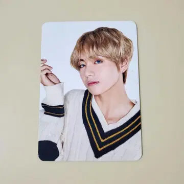 공식 BTS 테테 하피바 미니 사진