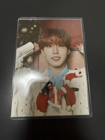 StrayKids 스키즈 HAN 한 ChristmasEvel 포스카