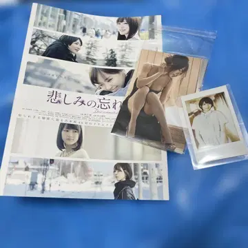하시모토 나나미