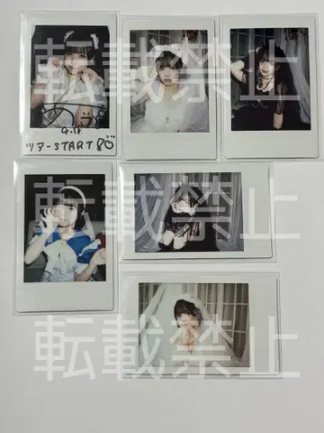 iLife 아이스 란체키 생일 화이트데이