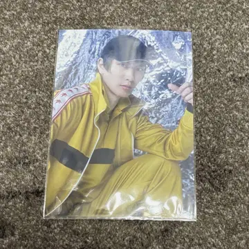 테니뮤 란브로 사나다