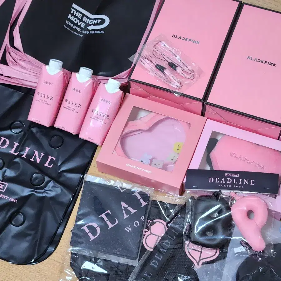 BLACKPINK | 블랙핑크 Blackpink Mini Camera Concert MD