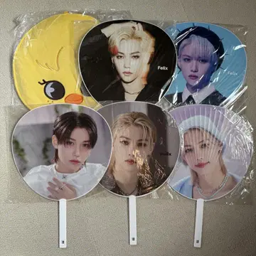 felix 부채 및 포가리 부채 케이스