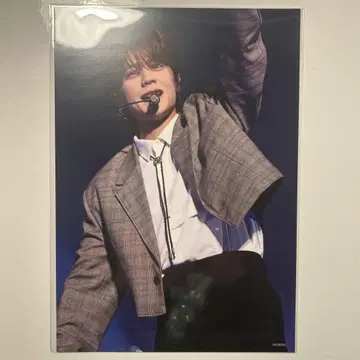 INI 후지마키 쿄스케 RTP 타워 레코드 플라이어