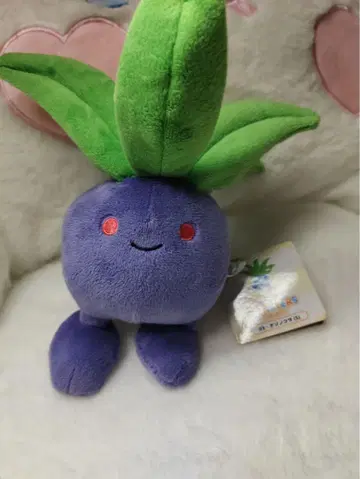 초레어 나조노쿠사 산에이 무역 봉제 인형 포켓몬 센터 택 포함