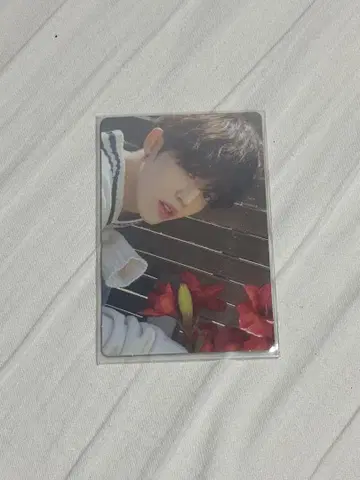 S.Coups 포토 카드 teen, age