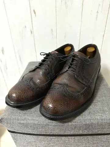 NUNNBUSH 롱 윙 US7 3E