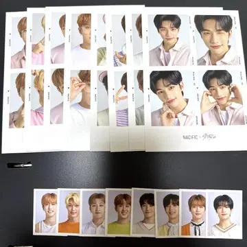스키즈 StrayKids NACIFIC 엽서 ID 카드 컴프