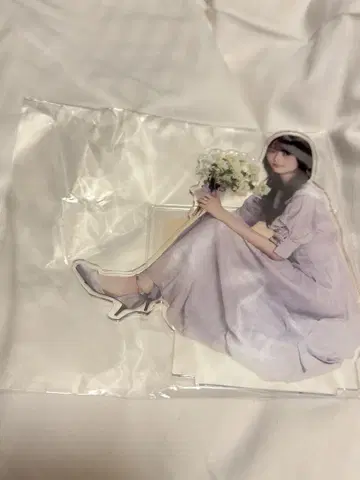 궁목 노기 메쿠리 S상