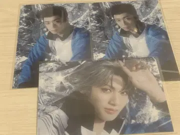 테니뮤 전빙 란브로 아케부 카지