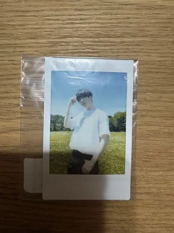 니시코리 폴라로이드 마크 영국인