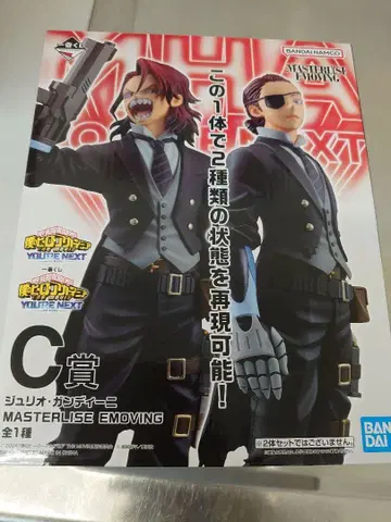 MASTERLISE EMOVING 줄리오 간디니 C상