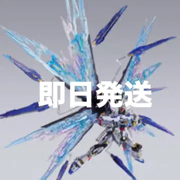 METAL BUILD 스트라이크 프리덤 건담 빛의 날개 옵션 세트