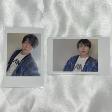 아즈 하피카 팬더 드래곤