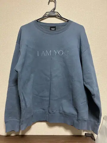 HEIN RECORDS I AM YOU 맨투맨 L