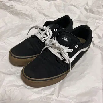 반스 V341 CRAIL