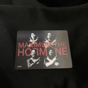 MAXIMUM THE HORMONE 코테리 대특가 캠페인 '25