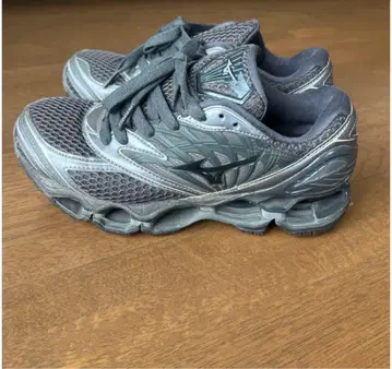 미즈노 MIZUNO WAVE PROPHECY LS 24.0