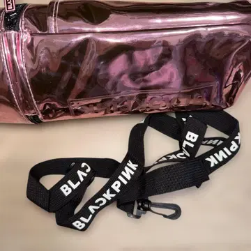 BLACKPINK 응원봉 케이스