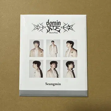스키즈 승민 인스턴트 사진 세트 dominATE