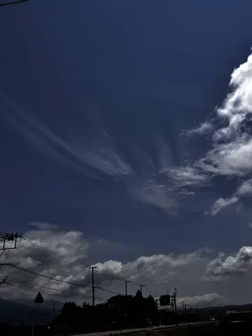 eimasa님