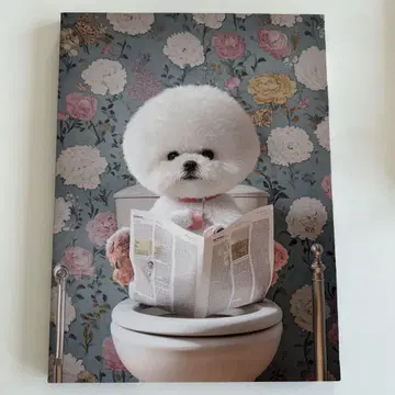 비숑 프리제의 그림