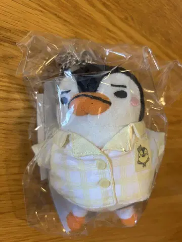 JUNHO 백 참