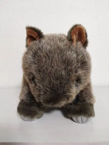 원벳 봉제 인형 리얼