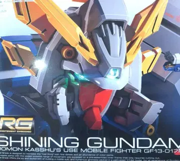 RG 샤이닝 건담 미조립 1/144 스케일 기동무투전 G 건담