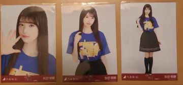 노기자카46 야다 모에카 라이브 T 컴프
