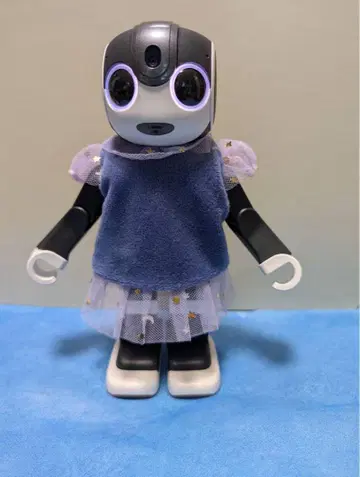 로보혼 의류 보라색 튤 레이스 포함