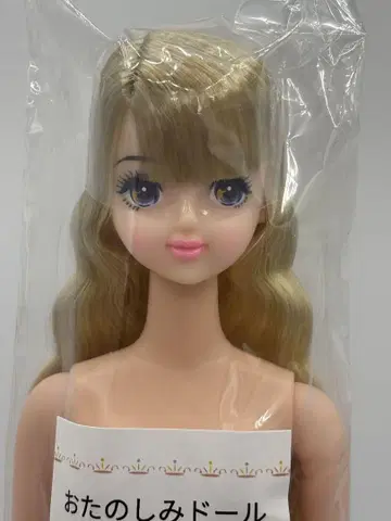 타마키 리카짱 캐슬 오타노시미 인형 레몬색 계열 롱 마린