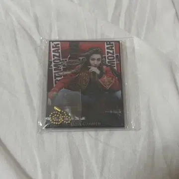 모차르트 교모토 다이가 아크릴 키링 아크릴 스탠드