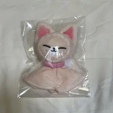 폭시니 백 참 테루테루보즈 straykids skzoo
