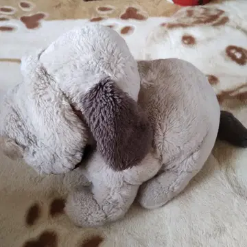 개 봉제 인형 베이지와 브라운 약 40cm
