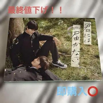 너에게 닿지 않는 DVD-BOX