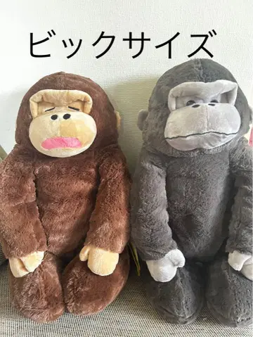 우호호 고릴라의 고리 군 정좌