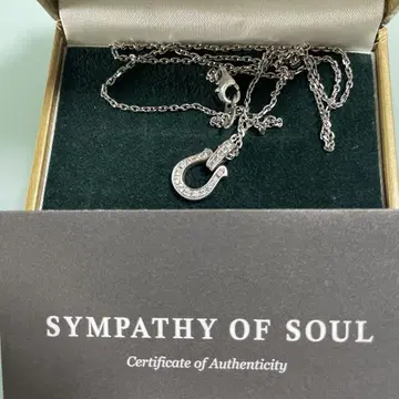 SYMPATHY OF SOUL 목걸이 실버 다이아몬드