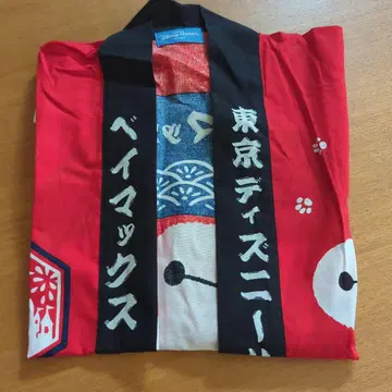 도쿄 디즈니 리조트 베이맥스 호비