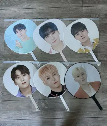 승광 부채 세트