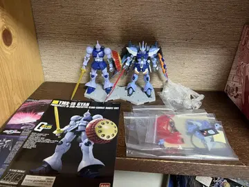 HG 조립품 2개 세트