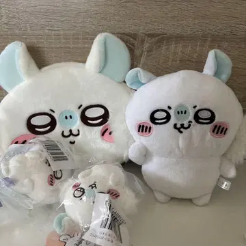 모몽가 세트
