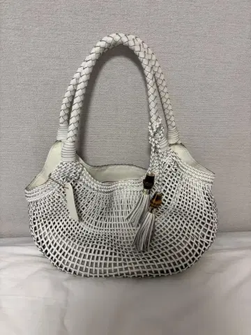 메쉬 백