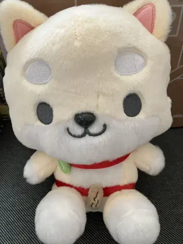 JO1 제오 참 봉제 인형 마메치